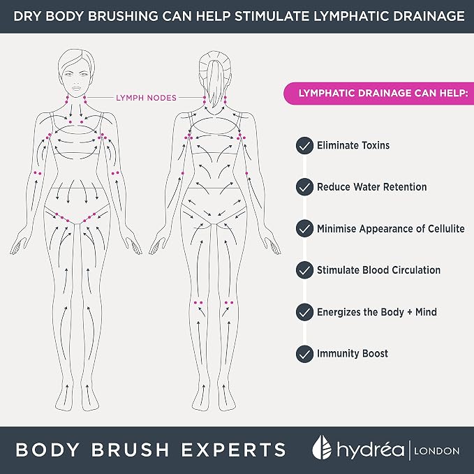 Hydrea London Body Brush Long Handled Exfoliating Back Scrubber, Natural Bristle, Dry Brush Cellulite Remover, Exfoliating Body Scrubber, Helps Improve Lymphatic Drainage - FSC® Certified Beechwood.