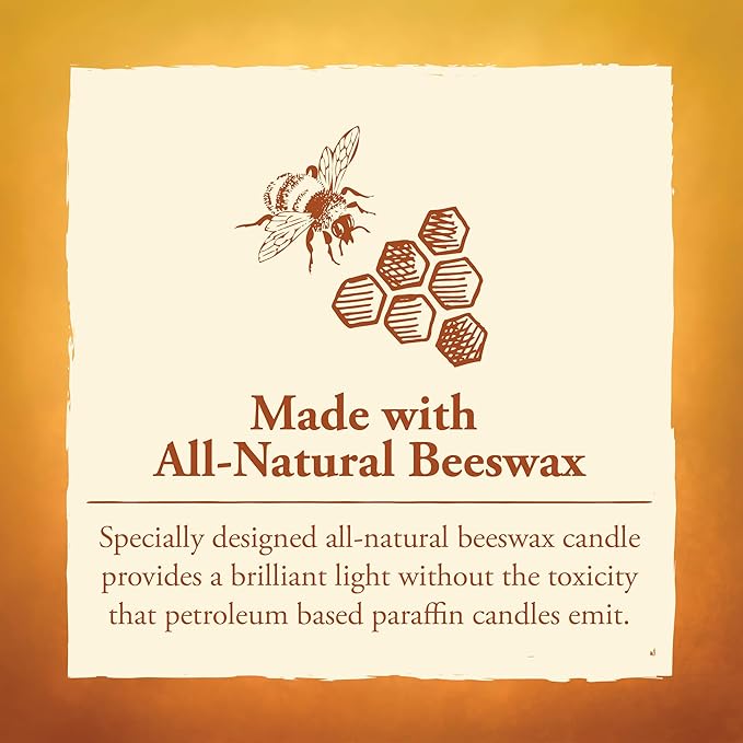 Candle by the Hour 80-Hour Candle with Glass Cylinder, Eco-Friendly Natural Beeswax with Cotton Wick, Yellow (Pack of 4)