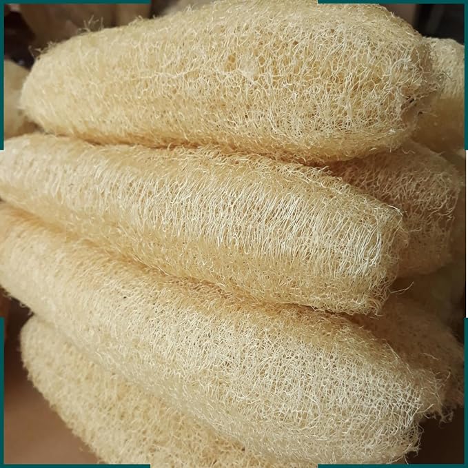 10 Pcs (5 – 7 Inches) Shower Loofah Exfoliating Body Scrubber | Natural Loofah Sponge | Bath for Loofah for Men and Women | Pack of 10
