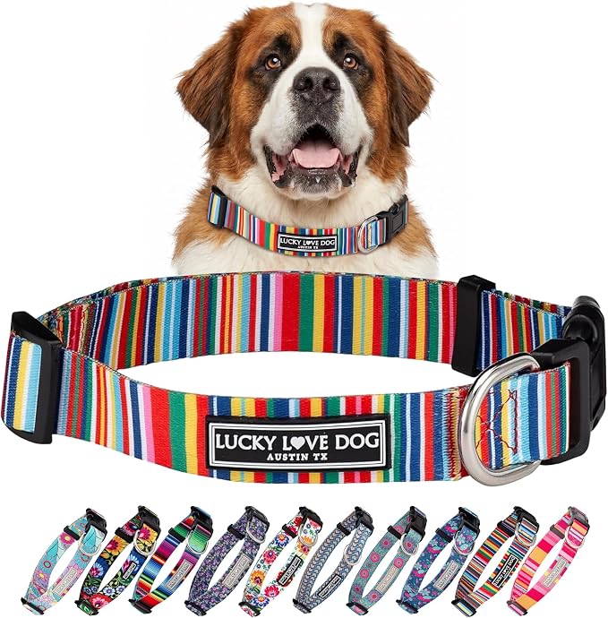 Lucky Love Dog Collar, Beautiful & Vivid Patterns, Rainbow Dog Collar for X-Large Dogs, Easy On & Off Clasp Accessory (Hippie, XL)…