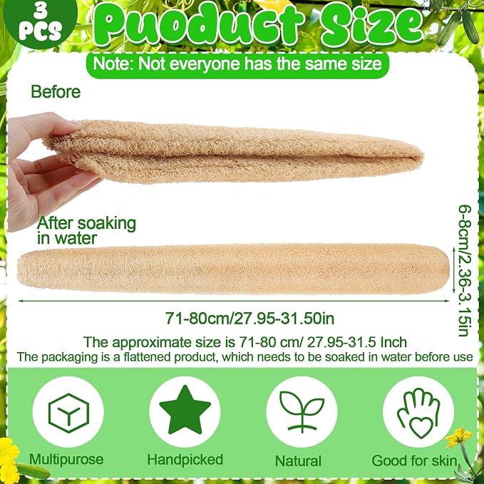 3 PCS 27.6-31.5 inch Large Natural Loofah Sponge Organic Exfoliating Scrubber for Shower Bath Body Dish Cleaning for Men Women