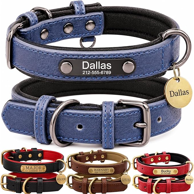 Leather Dog Collar Personalised and Leash Set, Personalized with Soft Padded Design Heavy Duty Featuring Custom Engraved Name Plate for Small Medium and Large Dogs