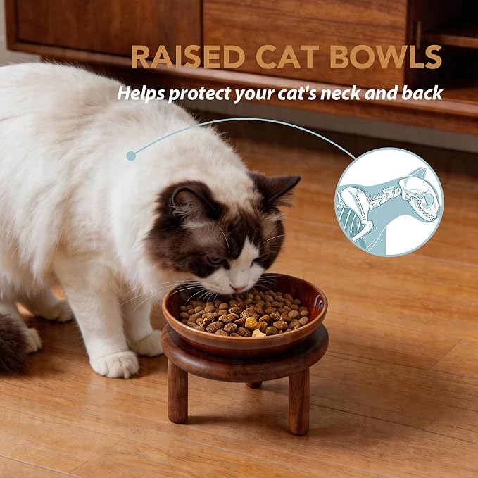 Havniva Elevated Cat Bowls Raised Ceramic Cat Bowl, 5.7” Wide Opening Cat Food Bowl Whisker Friendly Cat Dish Anti-Slip with Wood Stand, Shallow Pet Food & Water Bowl for Indoor Cats