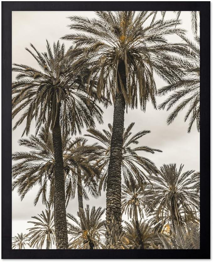 Monem Art Vintage Palm Tree Photography Print - Minimalist Tropical Landscape Poster - Wall Decor for Living Room, Bedroom or Office - 24x32 Unframed Wall Art by Mareike Bohmer