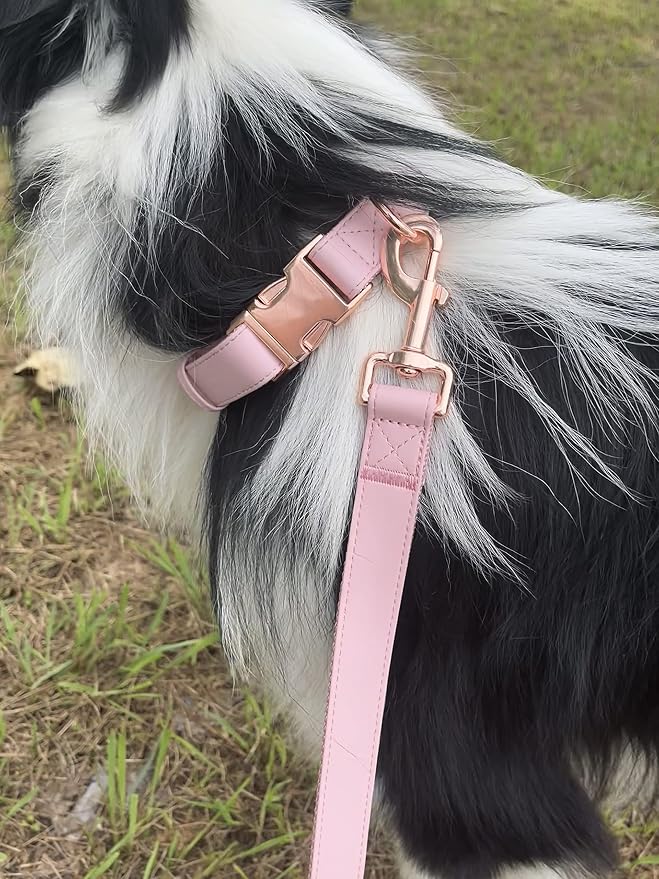 Dog Collar and Leash Set.Soft and Easy to Clean Vegan Leather with Rose Gold Metal Buckle for Small Medium Large Dogs (Pink, M(13.8"-19.7"))