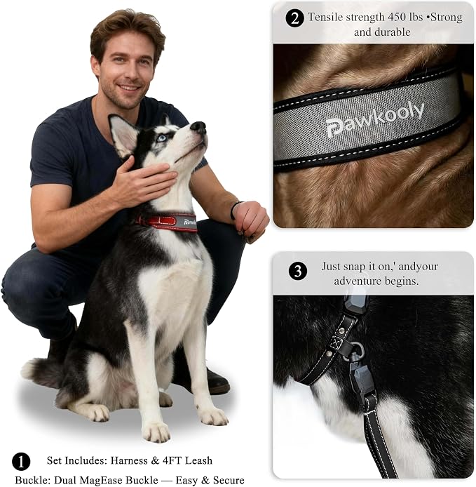 MagEase Dog Collar with 4FT Leash | Adjustable | Anti-Wrinkle, Bite & Stain-Resistant Leather | Soft & Skin-Friendly | 450LB Escape-Proof Magnetic Buckle (Black, Extra Large)