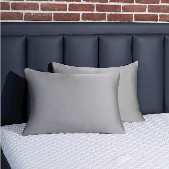 100% Mulberry Silk Pillowcase 2 Pack for Hair and Skin,with Hidden Zipper,Both Sides 19 Momme 600 Thread Count Natural Silk Pillow Cover,Soft Breathable Smooth (Gray, Queen 20''x30'')