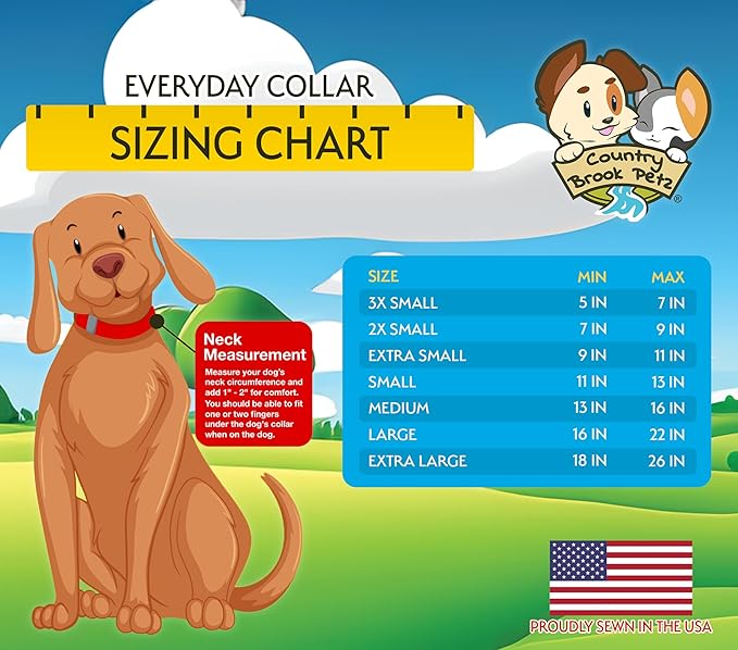 Country Brook Petz - Everyday Nylon Dog Collar and Leash - 10+ Cool Colors (1 Inch, Large, Royal Blue)
