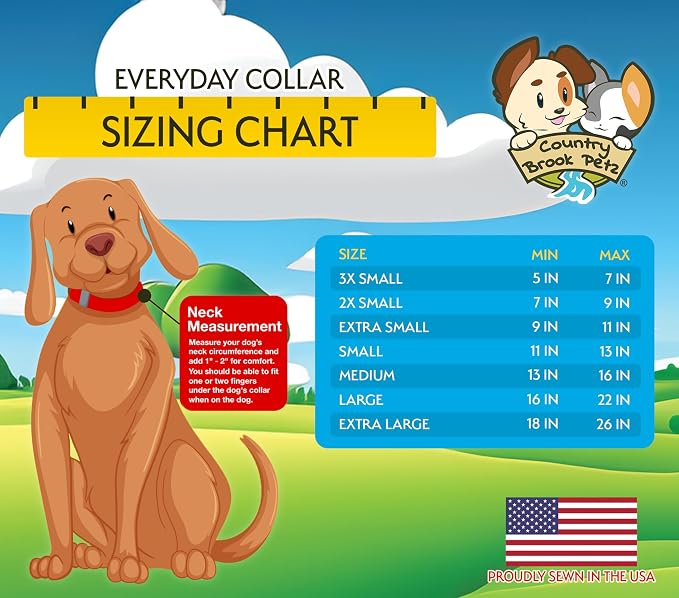 Country Brook Petz - Everyday Nylon Dog Collar and Leash - 10+ Cool Colors (3/8 Inch, 3XS, Purple)