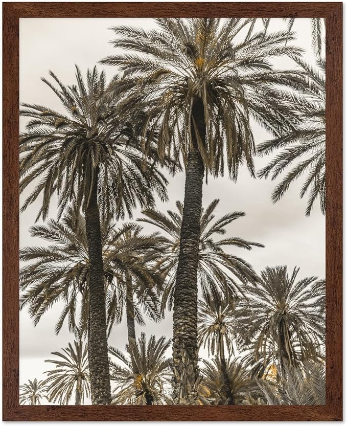 Monem Art Vintage Palm Tree Photography Print - Minimalist Tropical Landscape Poster - Wall Decor for Living Room, Bedroom or Office - 16x20 Brown Framed Wall Art by Mareike Bohmer
