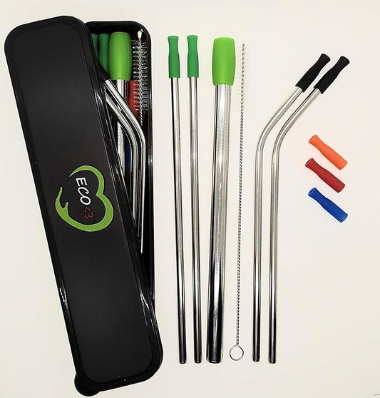 Stainless Steel Reusable Straw set with Silicon Tips and Travel Case