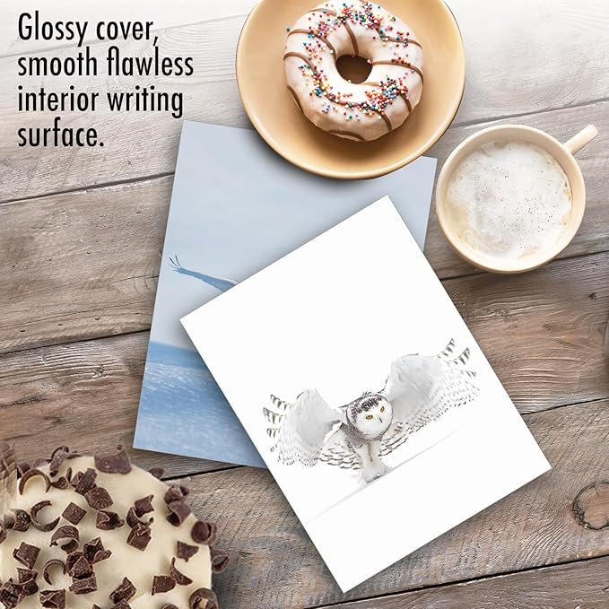 The Best Card Company - 20 Blank Note Cards with Envelopes (4 x 5.12 Inch) - All Occasion Animal Card Assortment (10 Designs, 2 Each) - Snowy Owls AM9518OCB-B2x10
