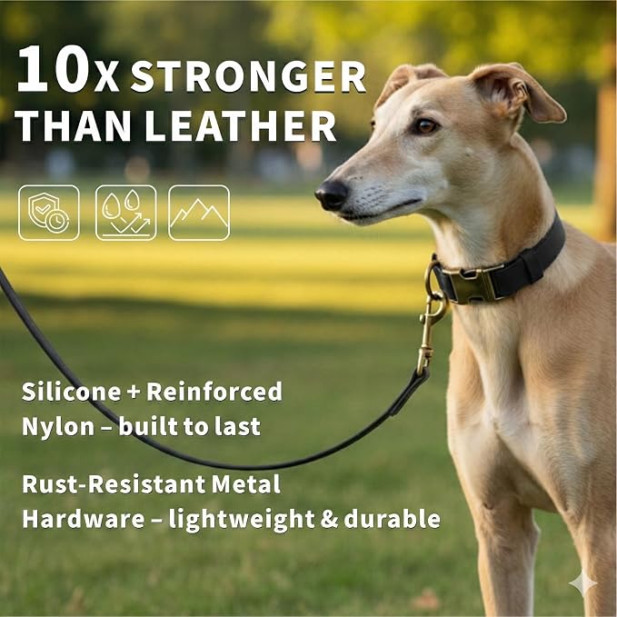 Silicone Dog Collar and Leash Set, Waterproof & Odor-Proof Puppy Collar for Small Dogs, Soft Flexible Leather-Look Dog Collars, Durable Thick Adjustable Pet Collar (Black, Large (16-24.5" Neck))