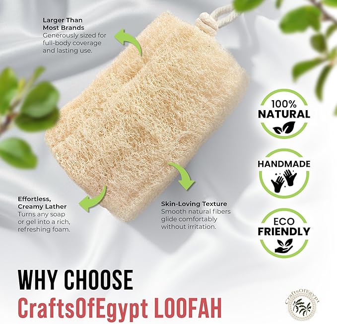 Natural Loofah Sponge – Egyptian Luffa Body Scrubber Pack of 1 for Men & Women, Natural Bath & Shower Loofah Exfoliator, All Natural Loofah Sponges for Face Back & Body, 6" x 6"