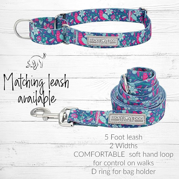 Lucky Love Dog - Easy Click Buckle Dog Collar with Leash Set Combo, Durable & Comfortable for Male & Female Dogs, Pet Collar for Medium Dogs, Secure Fit - Carriebelle Martingale Combo, Medium