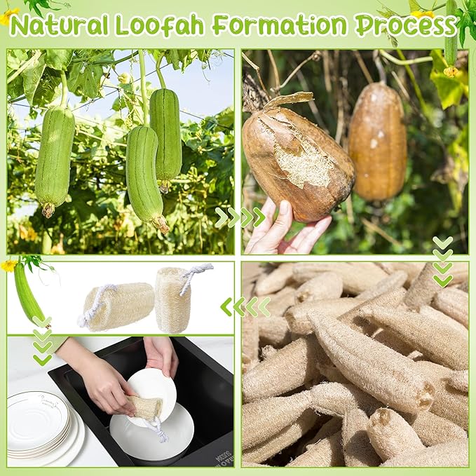 9 Pack 4”Natural Loofah Sponge Small Size Natural Organic Loofah for Kitchen Cleaning Dishes Toddler Exfoliating Skin Care Body Scrubber
