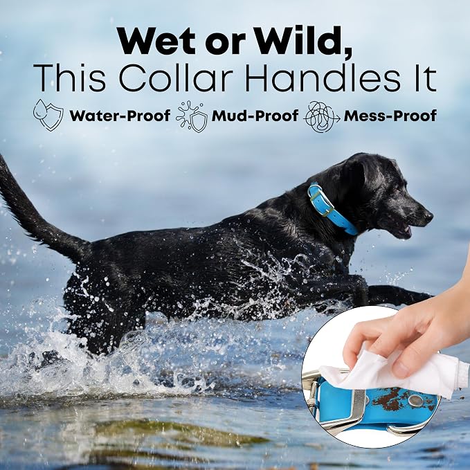 Regal Dog Products Small Light Blue Dog Collar with Heavy Duty Double Buckle & D Ring | Vinyl Coated, Custom Fit, Adjustable Biothane Dog Collar Chew Resistant Waterproof Collar for Dogs