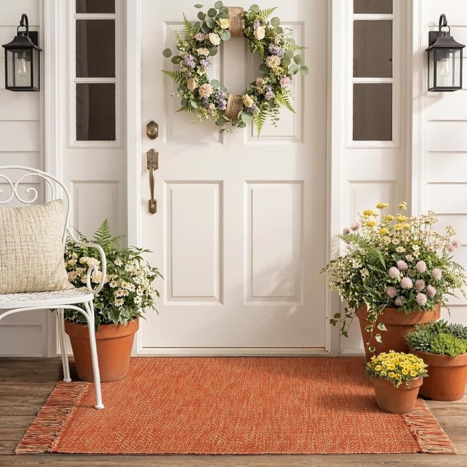 Collive Kitchen Runner Rug, 2' x 4.3' Hand-Woven Reversible Washable Rugs, Terracotta Cotton Modern Farmhouse Bathroom Mat Hallway Carpet for Foyer Bedroom Entry Front Door Fall Decor
