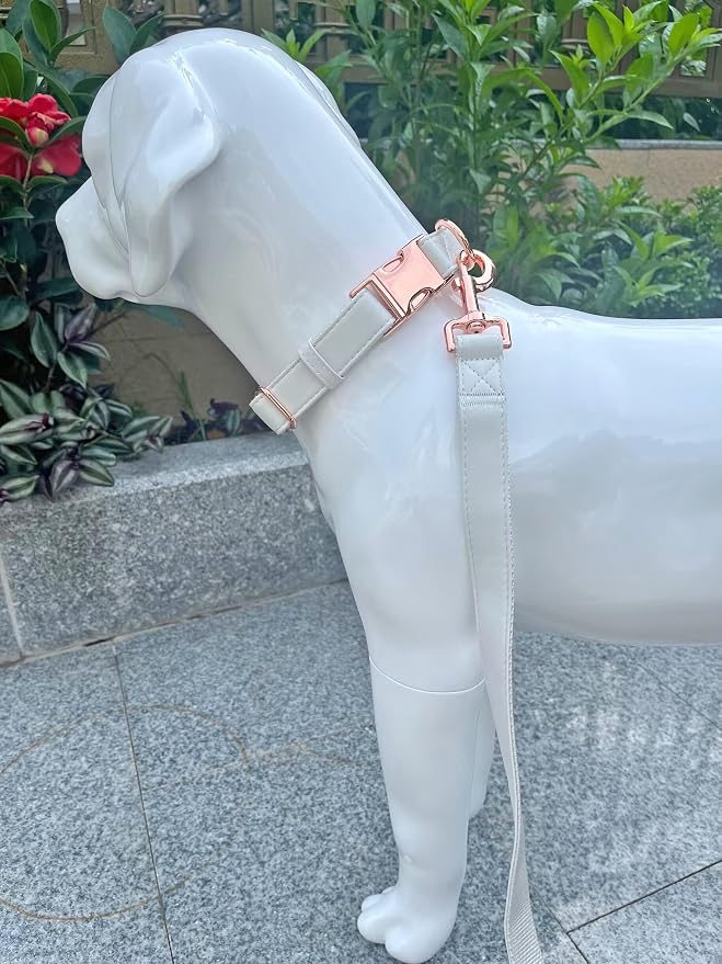 Dog Collar and Leash Set.Soft and Easy to Clean Vegan Leather with Rose Gold Metal Buckle for Small Medium Large Dogs (Off-White, S(12.2"-16.9"))