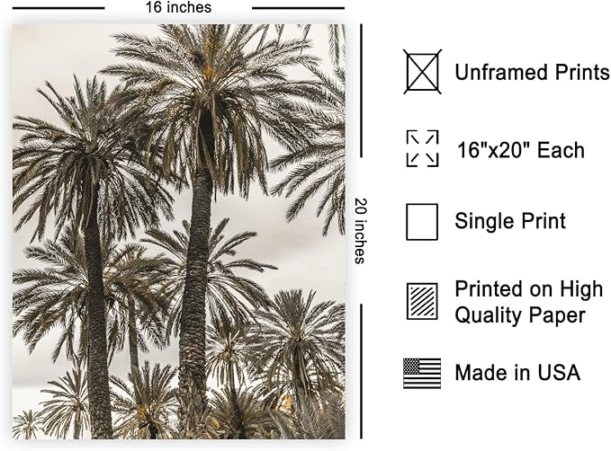 Monem Art Vintage Palm Tree Photography Print - Minimalist Tropical Landscape Poster - Wall Decor for Living Room, Bedroom or Office - 16x20 Unframed Wall Art by Mareike Bohmer