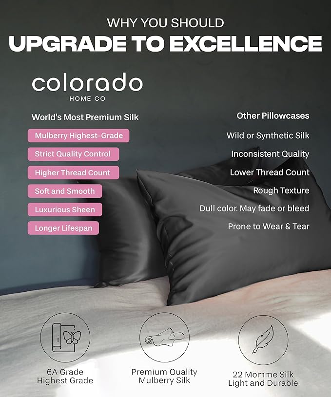 SUNDAYSILKS™ Premium Silk Pillow Cases | 100% Mulberry Silk Pillowcase with Zipper, Real 22 Momme Grade 6A Silk, Standard Queen, King Size [Off White]