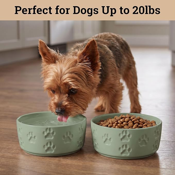 Ceramic Dog Bowl Set of 2 with Anti-Skid Base - 5" Wide x 2" Tall Ceramic Dog Bowls for Small Dogs - 2 Cup Capacity Food and Water Bowls for Dogs - Rubber Bottom Pet Bowl Set of 2 for Small Pets