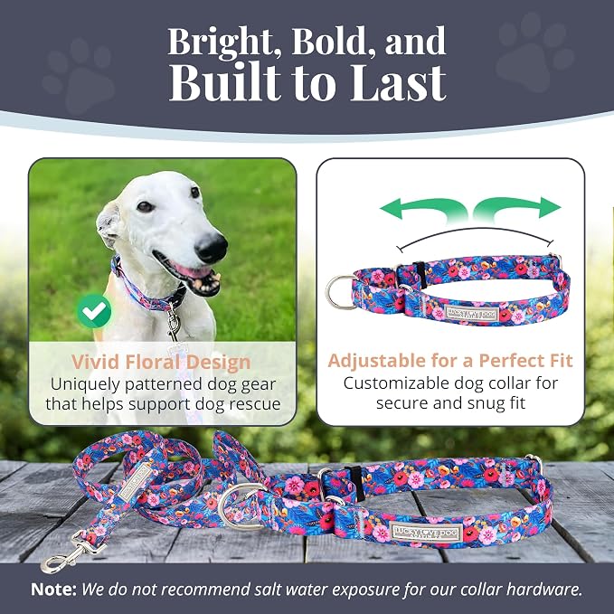 Lucky Love Dog Martingale Dog Collar & Leash - Adjustable, No-Slip, Durable, Comfortable, Soft Webbing, & Stylish Patterned Collar & Leash Set for Male and Female Dogs - Zuzu Combo, Medium