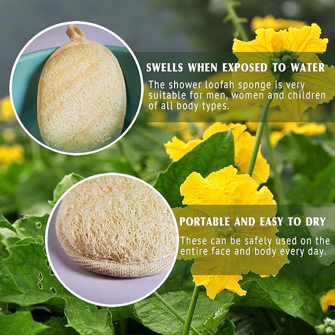 YIQINGJIE Natural Loofah Sponge Exfoliating Body Scrubber(4 Packs),Made with Eco-Friendly and Biodegradable Soft Shower Luffa Sponge, Loofah for Women and Men, Brown