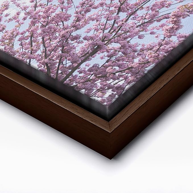 Monem Art Cherry Blossom Spring Sky Photography Print - Floral Nature Art Poster - Wall Decor for Living Room, Bedroom or Office - 24x32 Brown Framed CANVAS Wall Art by Mareike Bohmer