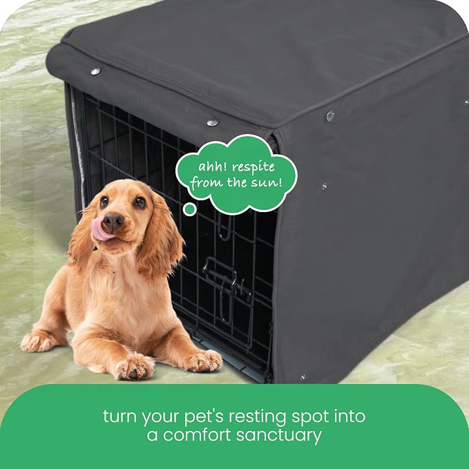 Molly Mutt I'm a Realist Dog Crate Cover, 100% Cotton Canvas Cover with 2 Roll-Up Panels, Ideal for Dog or Cat Crate, Durable, Washable, and Free of Harmful Chemicals, 24" x 18" x 21"