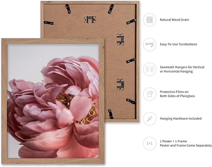Monem Art Blush Pink Peony Print - Minimalist Floral Photography Poster - Wall Decor for Living Room, Bedroom or Office - 16x20 Beige Framed Wall Art by Mareike Bohmer