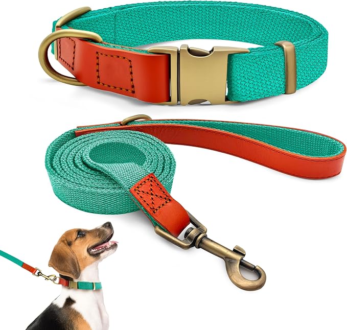 Dog Collar and Leash Set with Metal Quick Release Buckle, Adjustable, Breathable Nylon, Durable, Soft and Comfortable, No Pull for Walking and Training, Cyan, M (12.5"-19.6")