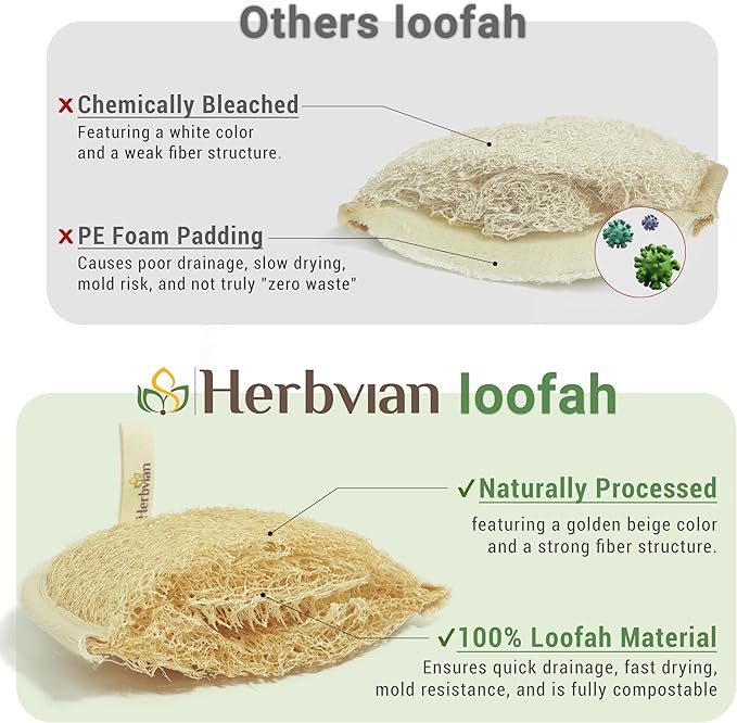 Vietnamese Natural Loofah Exfoliating Body Scrubber Pads, 100% Plant-Based Shower Luffa Sponge, Bath Loofah for Women Men (2, Pack of 2)