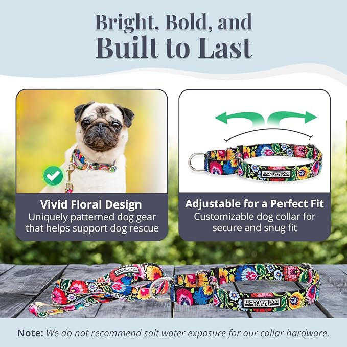 Lucky Love Dog Martingale Dog Collar & Leash - Adjustable, No-Slip, Durable, Comfortable, Soft Webbing, & Stylish Patterned Collar & Leash Set for Male and Female Dogs - Blackbird Combo, Large