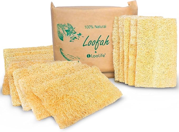 Natural Kitchen Loofah (10 Pack) + Loofah Sponge (3 Pack) - Luffa Exfoliating Body Scrubber - Natural Sponges for Dishes - Biodegradable and Compostable Sponges