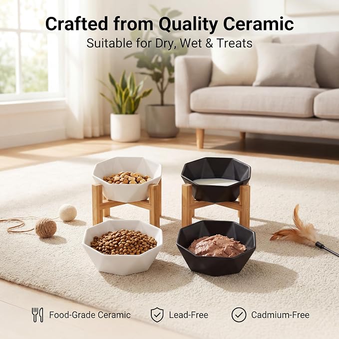 Ceramic Tilted Raised Cat Bowl - Elevated Food Bowl for Indoor Cats & Small Dogs - Shallow Wide Whisker-Friendly Design - Pet Dish Suitable for Feeding Dry, Wet, Treats & Canned Food - White