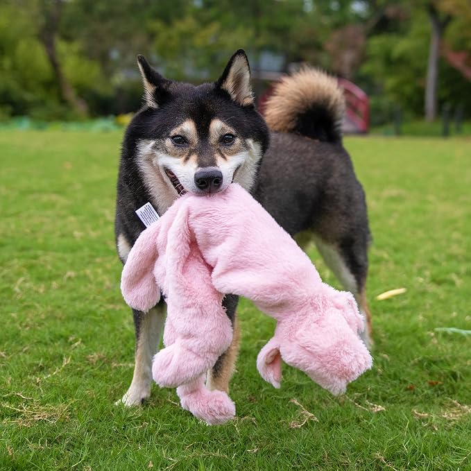 Best Pet Supplies Squeaky Dog Toys with Soft Durable Fabric for Small, Medium and Large Pets Interactive Toy for Indoor Play, Supports Active Biting and Play - 1Wild Duck, Pig, Small