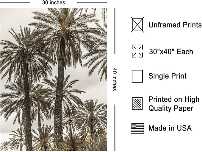 Monem Art Vintage Palm Tree Photography Print - Minimalist Tropical Landscape Poster - Wall Decor for Living Room, Bedroom or Office - 30x40 Unframed Wall Art by Mareike Bohmer