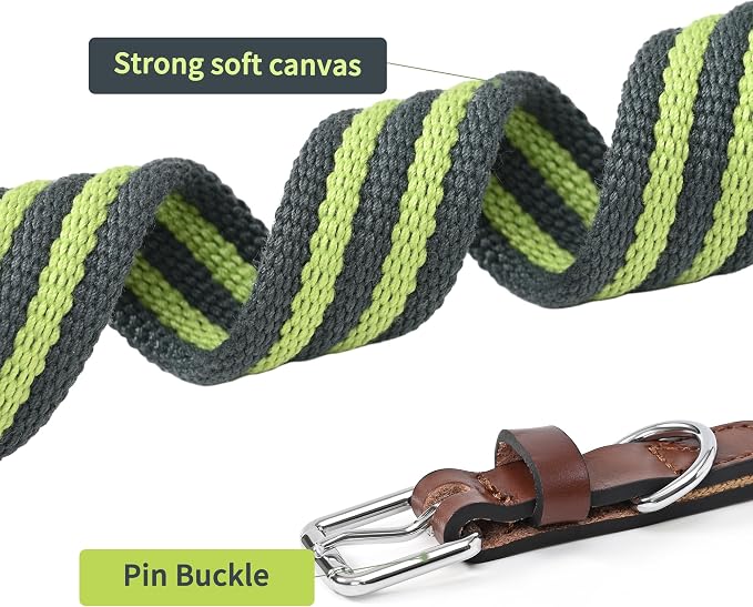 Mile High Life Genuine Leather Dog Collar, Heavy Duty Canvas Collar with Adjustable Metal Pin Buckle for Small Medium Large Dogs (Lime Green, M Neck 15"-18")