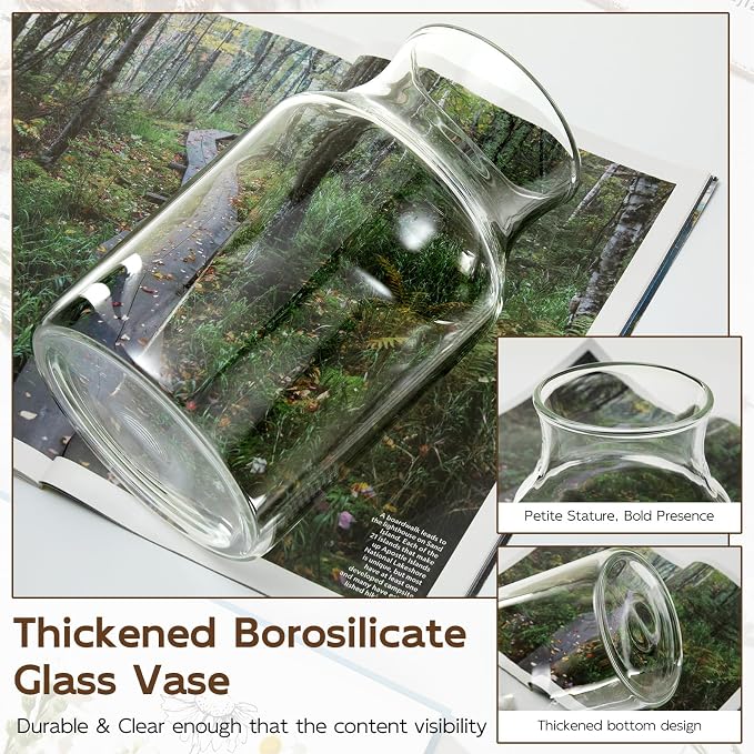 Clear Glass Vase, 8 inch Glass Flower Vase for Plants, Small Vase for Vases for Centerpiece, Home, Wedding, Living Room, Dining Table