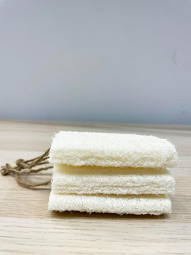 4" Plant Sponge 100% Natural Loofah Dish Sponges, Natural Dishwashing Sponges for Kitchen, Kitchen Scrubber Loofahs - 24 Pack
