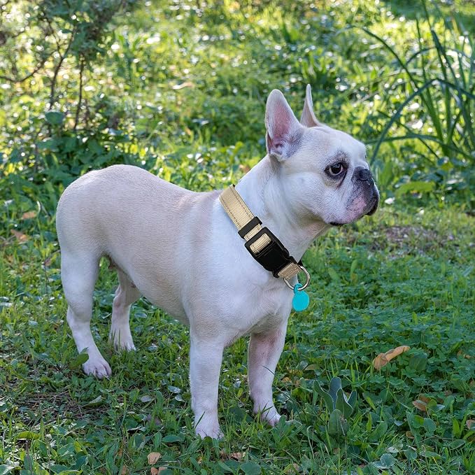 Ladoogo Reflective Dog Collar Padded with Soft Neoprene Breathable Adjustable Nylon Dog Collars for Small Medium Large Dogs (Large (Pack of 1), Vanilla Collar+Leash)
