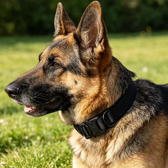 Tactical Dog Collar Adjustable Military Nylon Dog Collar with Control Handle and Heavy Duty Metal Buckle for Medium and Large Dogs (Black,L)