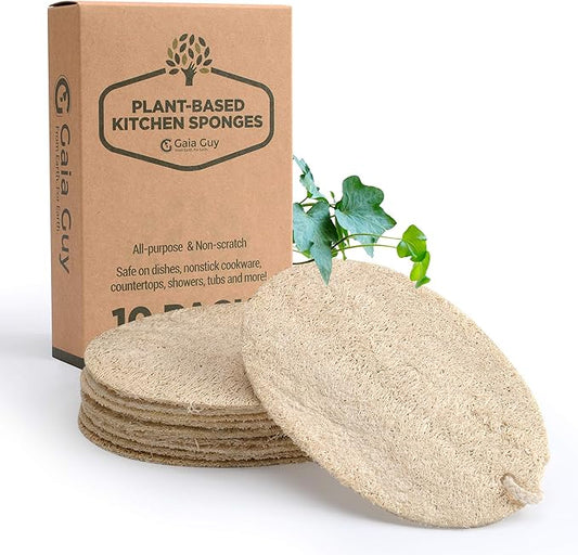 Natural Loofah Dish Sponge - 10 Pack (6 + 4 Bonus) - 100% Plant-Based, Plastic-Free Kitchen Scrubber Pads | Compostable & Zero Waste Alternative to Traditional Sponges