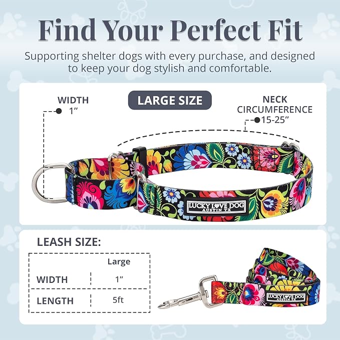 Lucky Love Dog Martingale Dog Collar & Leash - Adjustable, No-Slip, Durable, Comfortable, Soft Webbing, & Stylish Patterned Collar & Leash Set for Male and Female Dogs - Blackbird Combo, Large