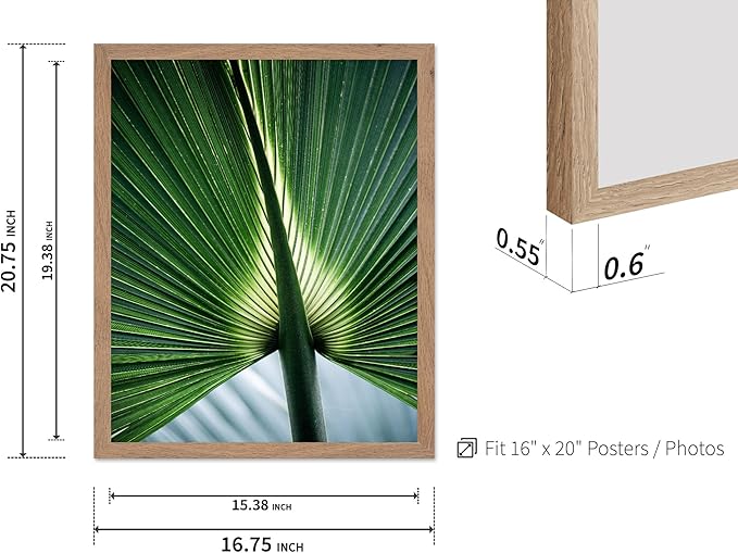 Monem Art Tropical Palm Leaf Macro Photography Print - Minimalist Botanical Nature Art Poster - Wall Decor for Living Room, Bedroom or Office - 16x20 Beige Framed Wall Art by Mareike Bohmer