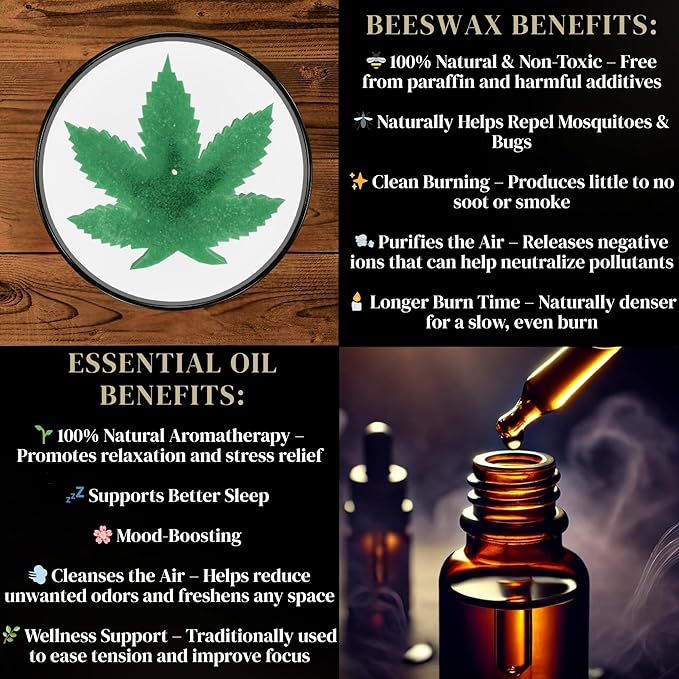 Cannabis Leaf Eucalyptus Scented Candle | All Natural for Cannabis Lovers | Hand-Poured Aromatherapy | Organic Soy & Beeswax Blend | 100% Beeswax Wick | Essential Oils | Gift Box Included