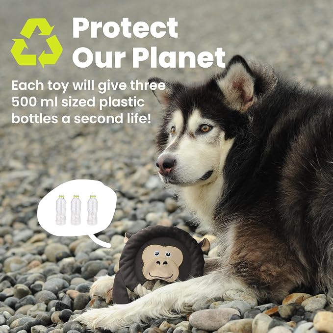 PAWSPIK Flying Disc Tug-of-War Toy, Eco-Friendly Recycled Material, Squeaker Toy for Medium and Large Dogs, for Throwing & Fetching 8.5" Diameter (Adventurous Ape)