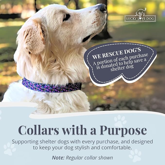 Lucky Love Dog Martingale Dog Collar - Adjustable, No-Slip, Durable, & Soft Webbing Collar for Male and Female Dogs Ideal for Training & Walking - Primrose, Medium