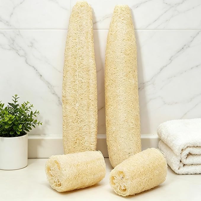 Natural Organic Loofah Sponges Large Exfoliating Shower Bath Loofah Luffa Loofa Body Scrubbers Sponges for SPA Beauty Bath and Radiant Skin, Pack of 4